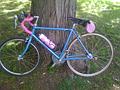 Hallie's Bicycles